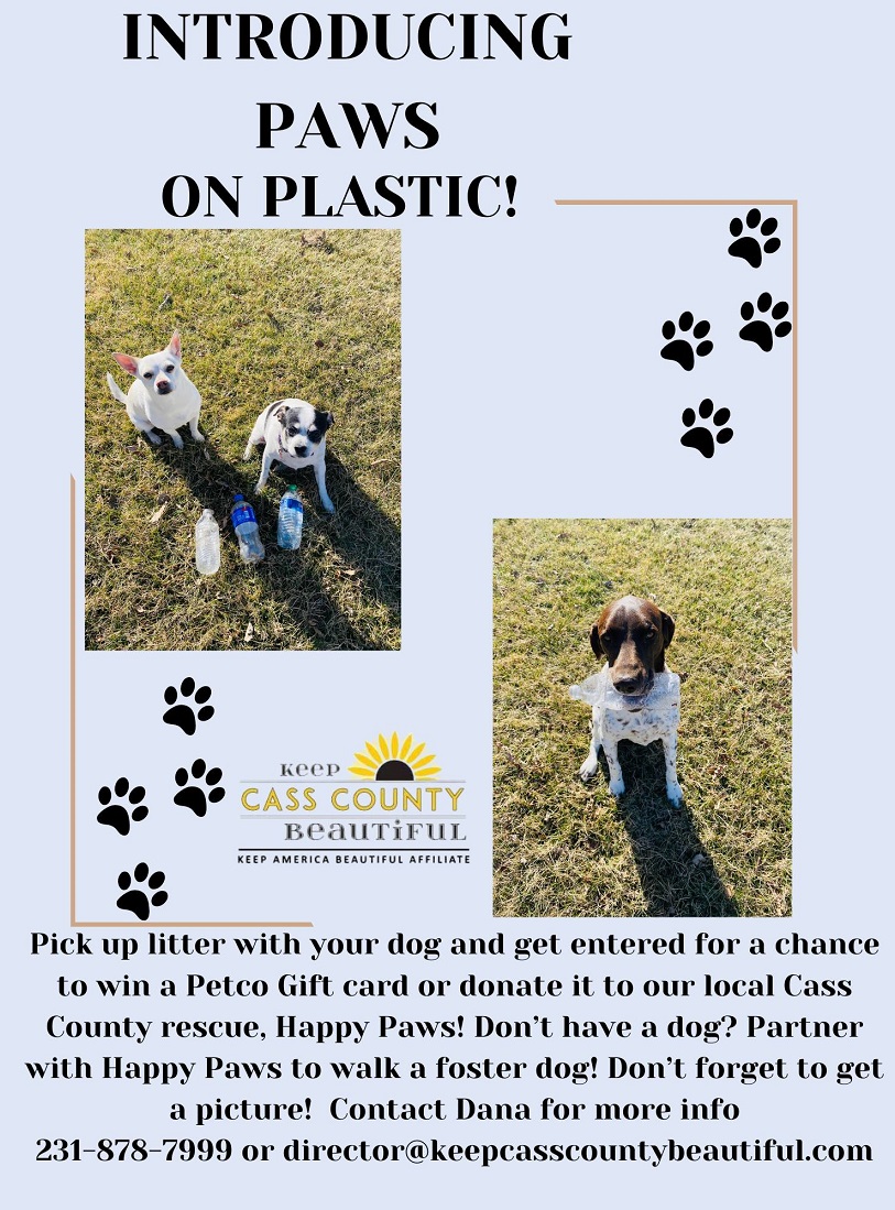Paws on Plastic