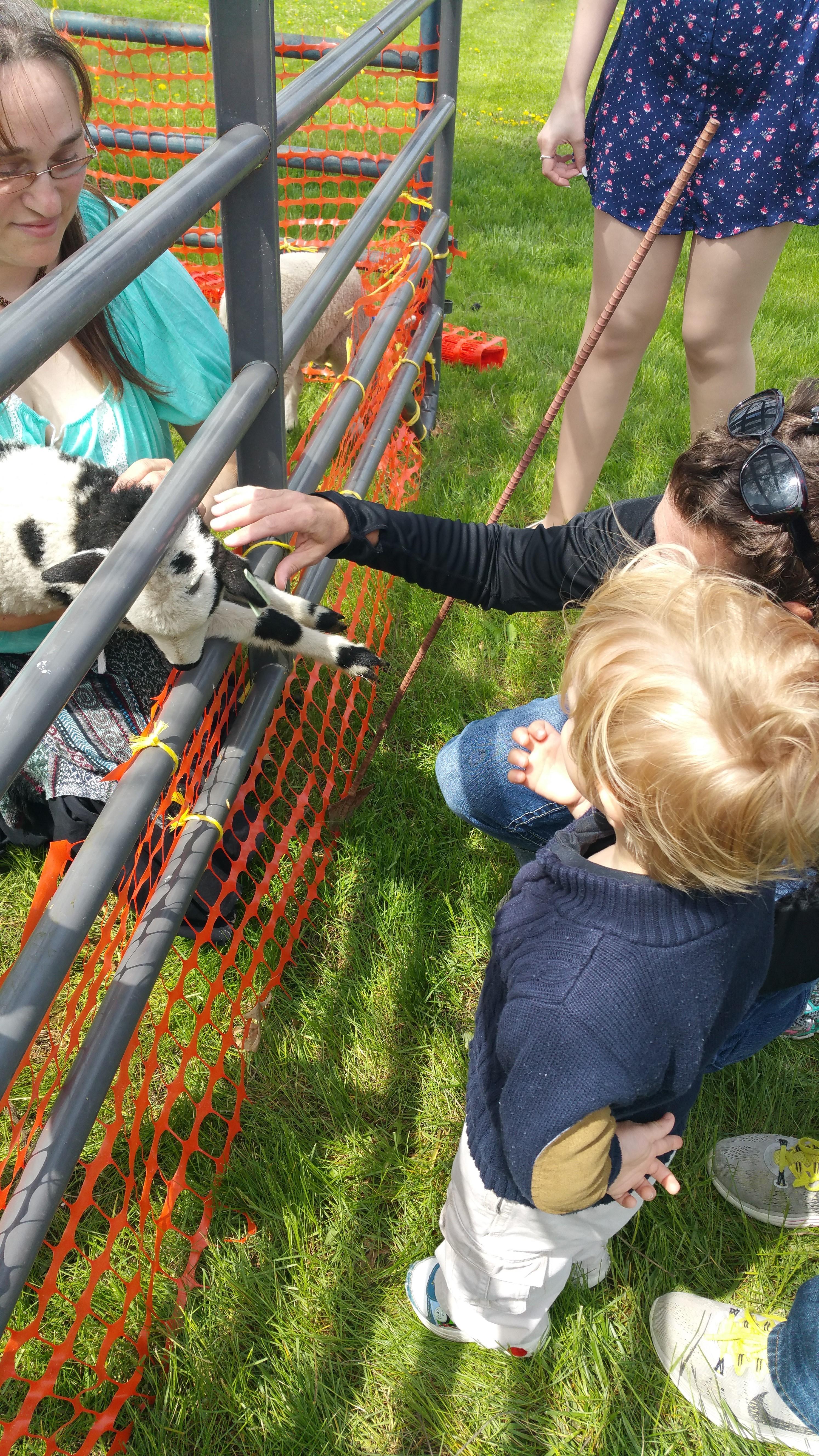 petting zoo
