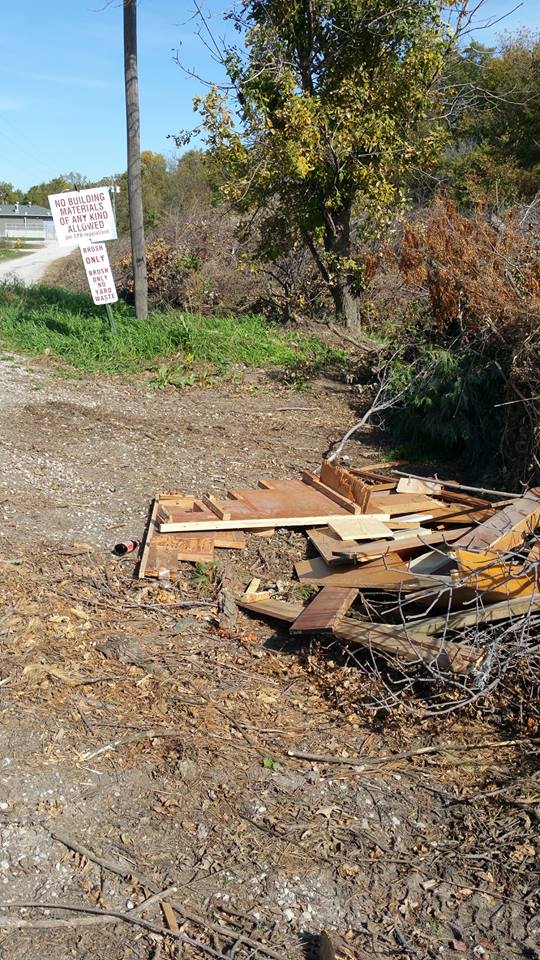 Brush pile 2