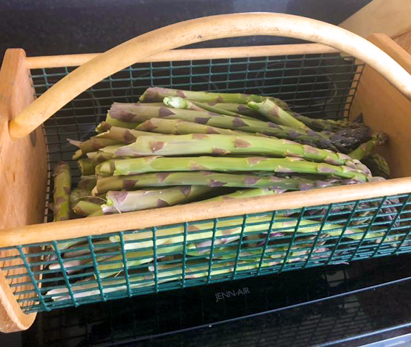 asparagus farmers market nebraskasm