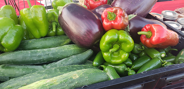 Farmers Market Elmwood 82121b