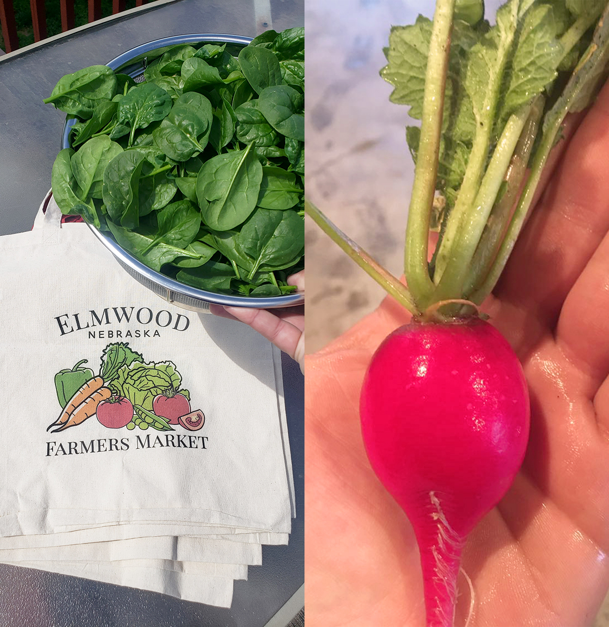 Farmers market veggies