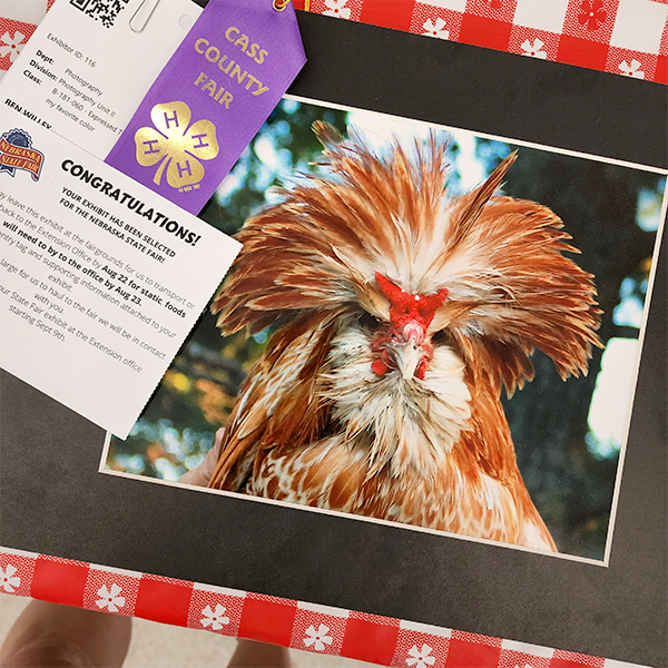 countyfair 2022e