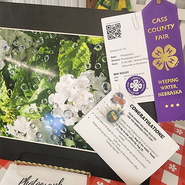 countyfair 2022g