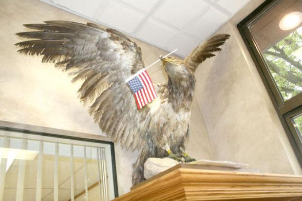NBA Eagle