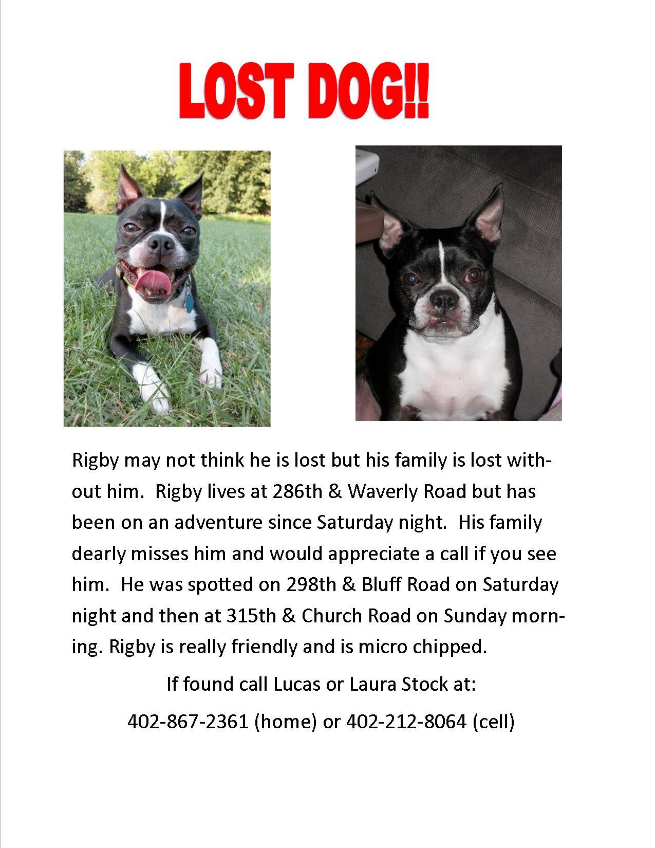 Rigby flyer