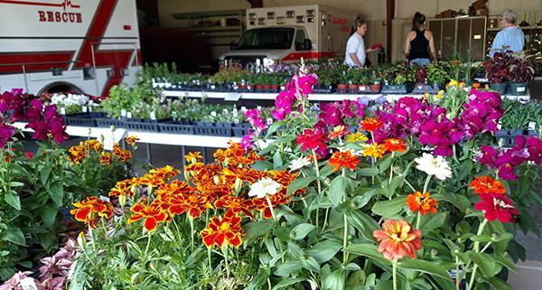 ElmwoodSpringPlantsale2