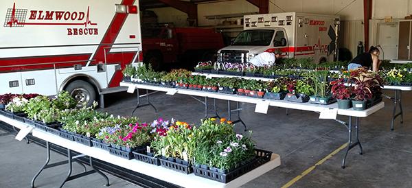 ElmwoodSpringPlantsale3