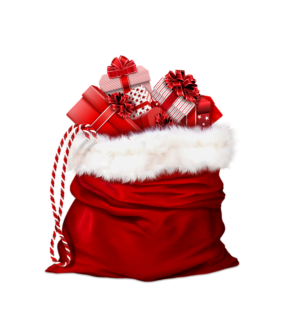 bag for gifts 2927962 640