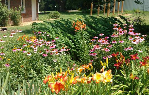 BessStreeterAldrich Garden