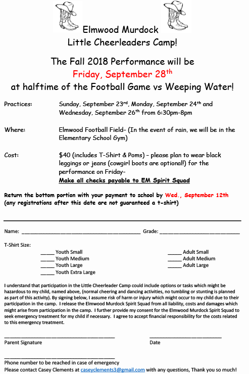 Little Cheer Camp