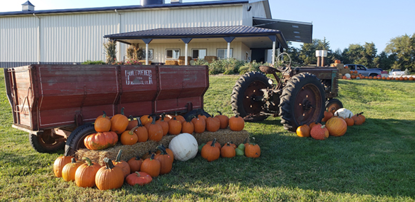 Elmwoodpumpinfarm 2018 1