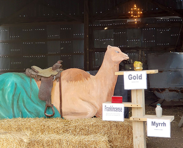 Living Nativity 1220 2020d
