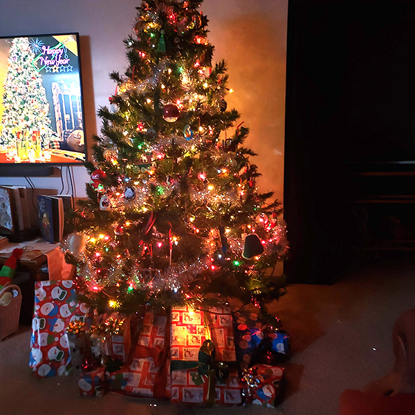 christmas tree dawn 2020
