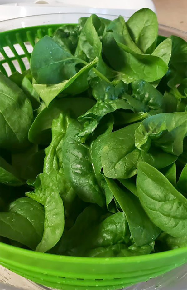 spinachSM