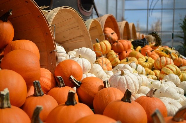 gourds 949112 640