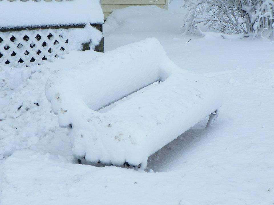 bench