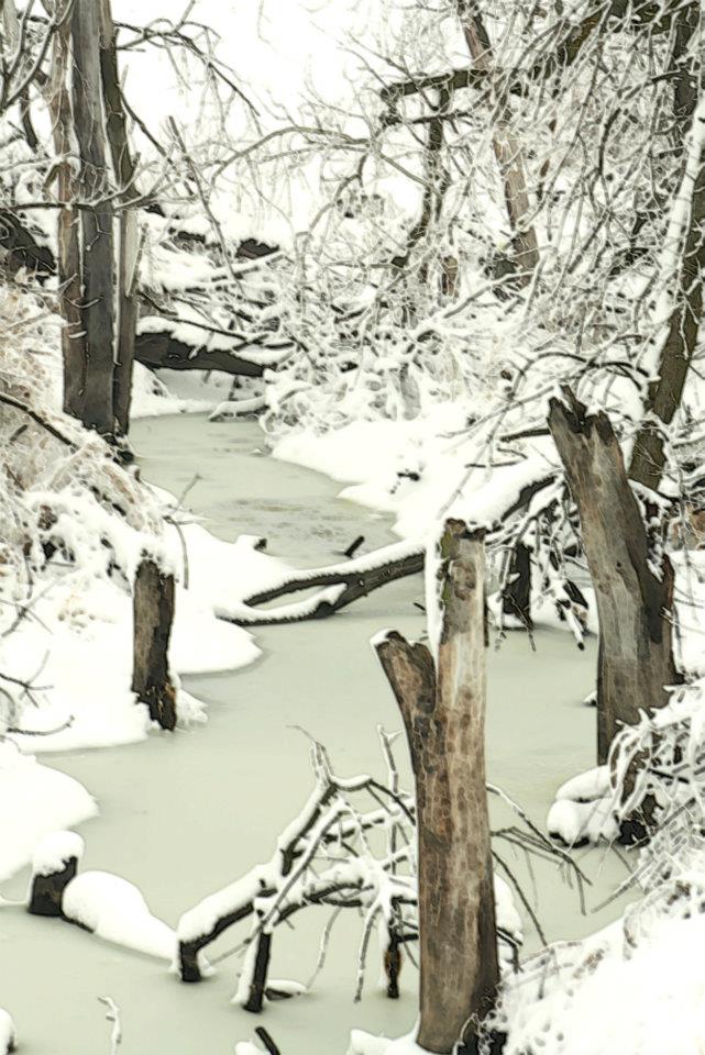 creek 2