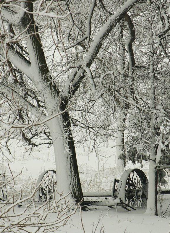 snow tree_wheels