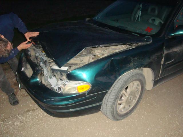 Millie_car2