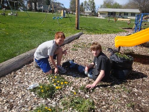 Park_weeds_boys