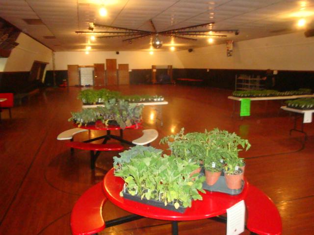 Cheer plants