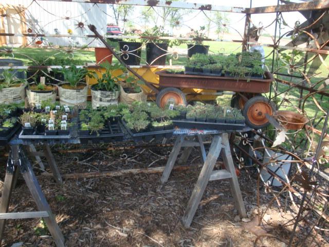 GJ plants