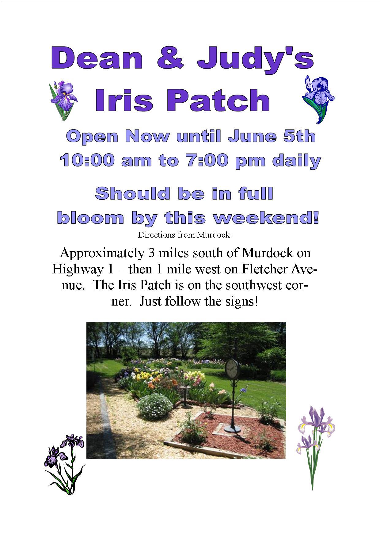 Iris_Patchq