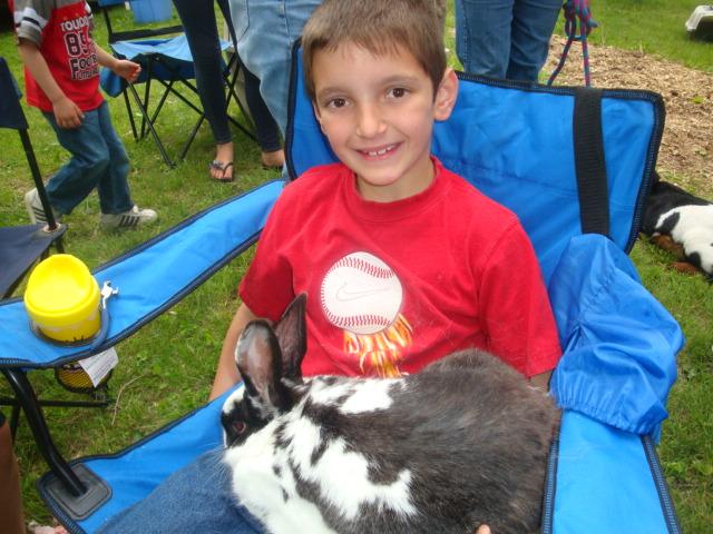 Park_pets