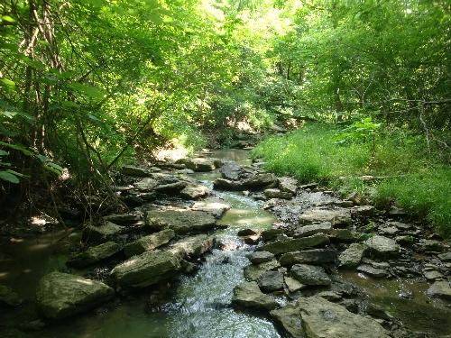 park_stream