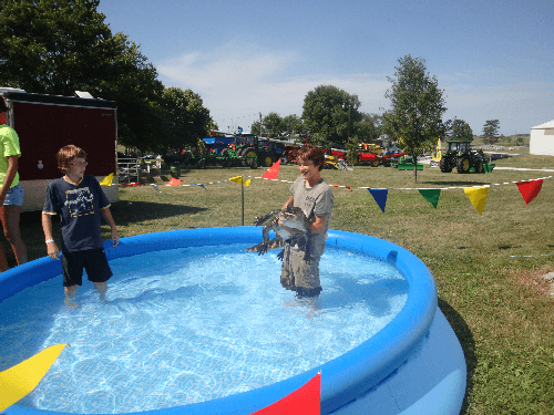 croc_wrestling