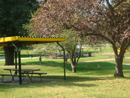 picnic_in_the_park