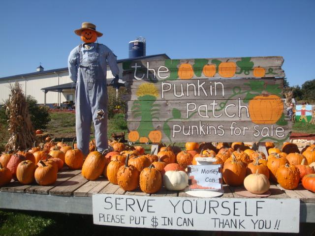 Punkin_3