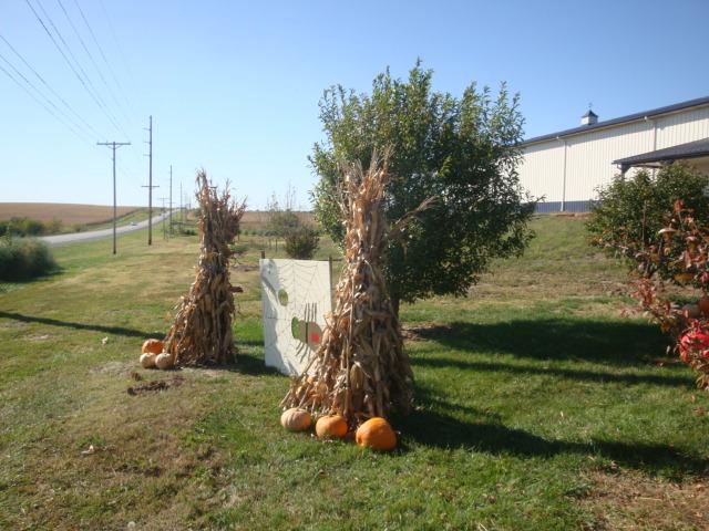 Punkin_4
