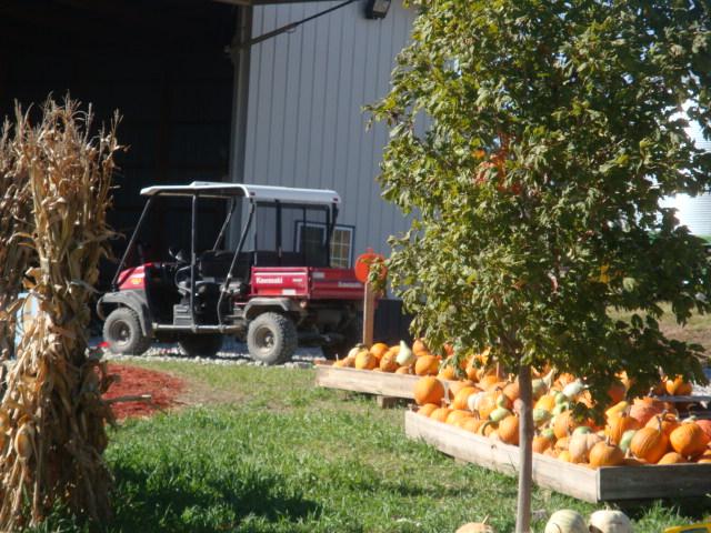 Punkin_7