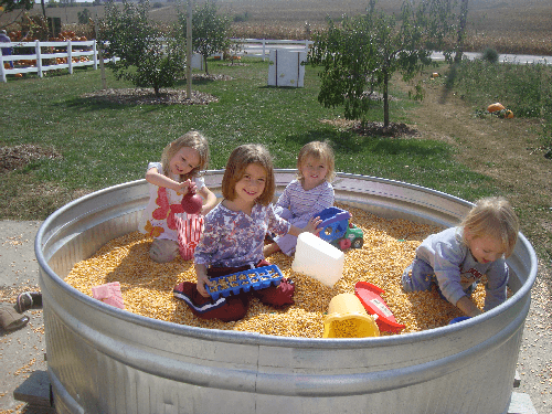 PP_corn_kids