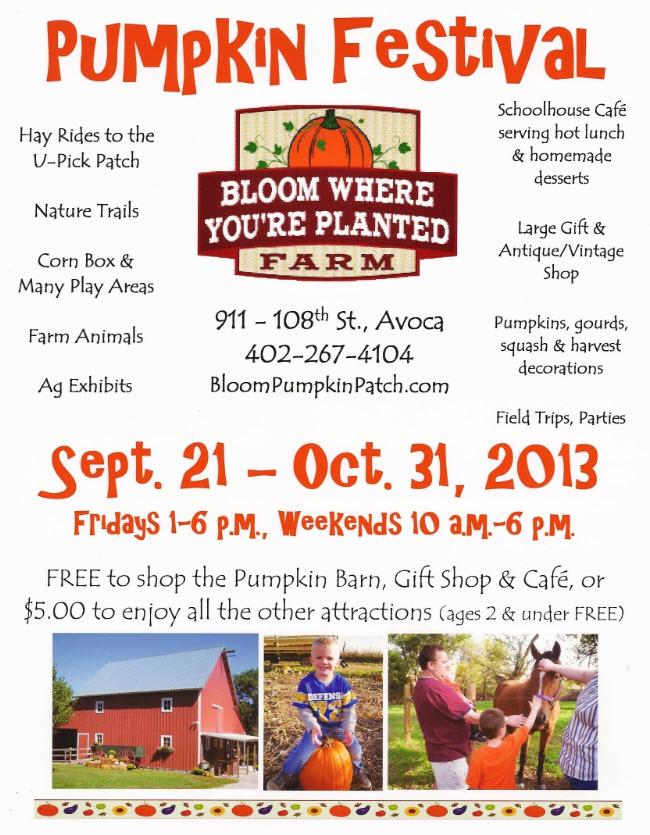 Bloom Pumpkin Festival