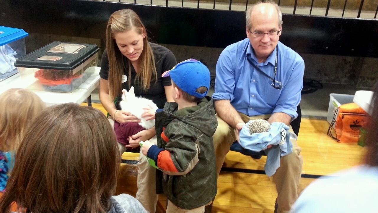 petting animals