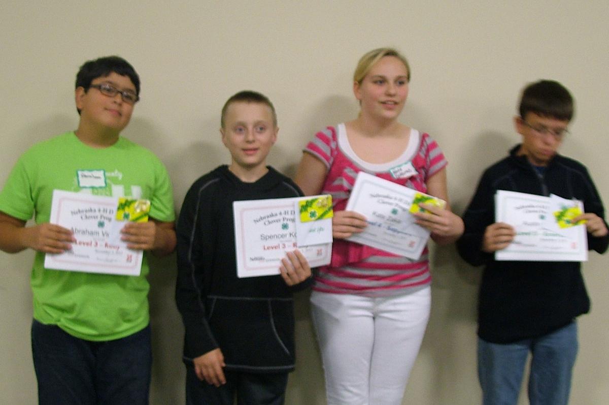 4-H 2013 Awards Night Diamond Clover